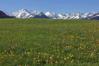 Frühling im Illertal mit dem Allgäuer Hauptkamm im Hintergrund.