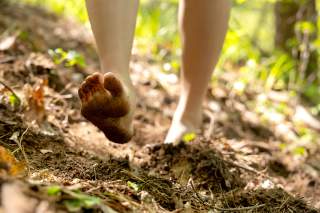 Nackte Füße auf Waldboden