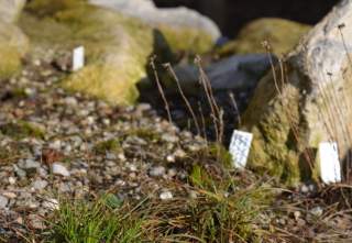 garten_alpines-museum.jpg