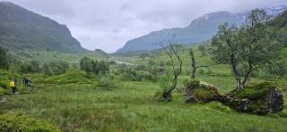 Zwei Wanderer mit Regenschutzkleidung steigen durch grüne Fjelllandschaft ab.